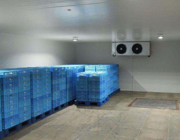 1635833657744347.jpg 1635833657744347.jpg