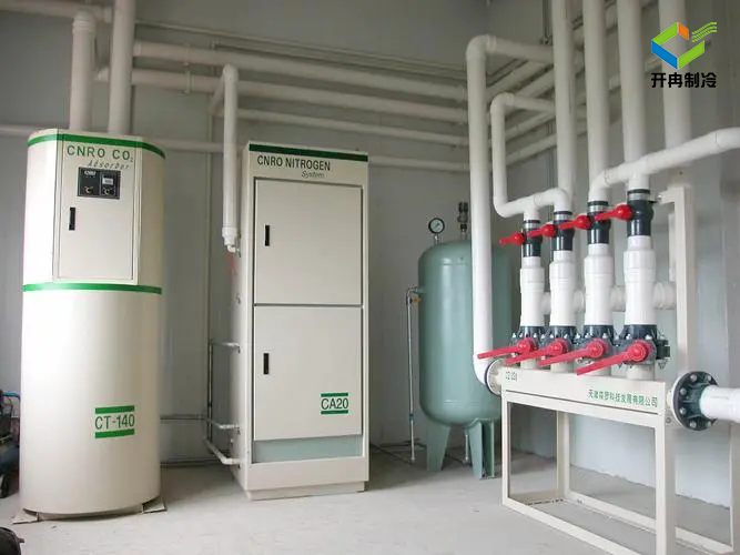 建造一个100吨的水果保鲜冷库多少钱？