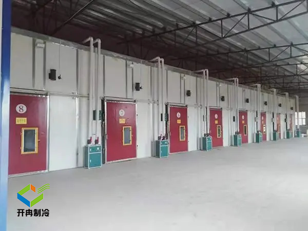 重庆水果气调保鲜冷库建造 重庆水果气调保鲜冷库建造