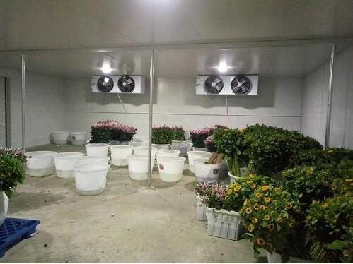 成都30立方小型鲜花保鲜冷库工程案例