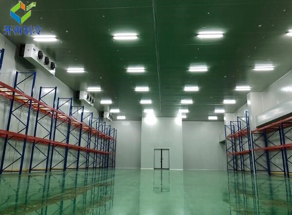 设一个2000吨冷库需要多少钱？冷链物流行业的投资与挑战