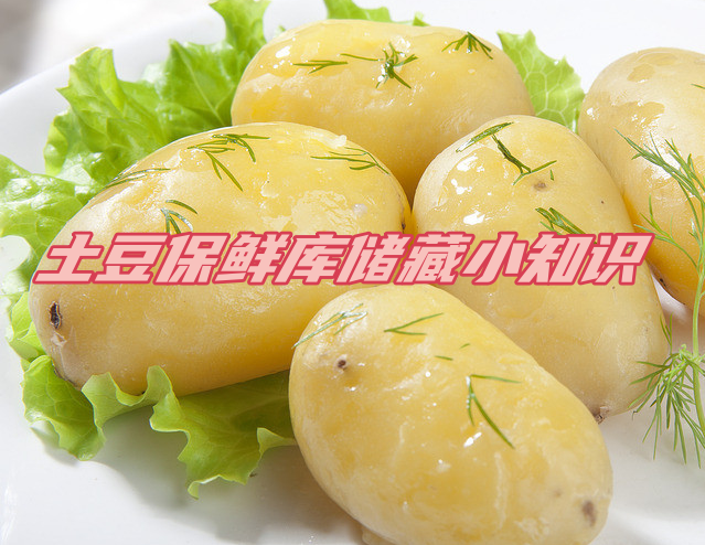 土豆保鲜库储存方法解析,延长土豆保鲜期的秘诀