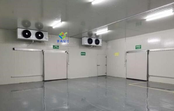 打造智能化电商生鲜冷库,解锁鲜活食材的流通奥秘