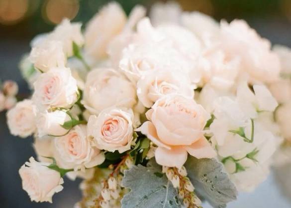 揭秘鲜花冷库的保鲜奥秘,花束如何娇艳不凋零?