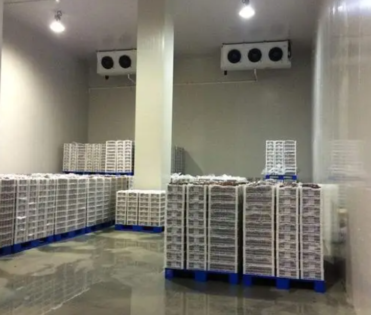 规范建造100平带鱼冷库,为食品保鲜护航