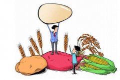 农产品冷库设计方案内容