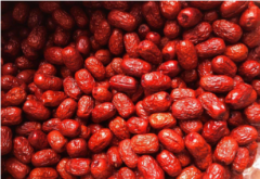 安装一个500吨红枣冷库造价是多少