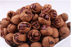 储存山核桃保鲜冷库建造价格是多少