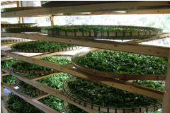 100吨茶叶冷库造价费用有哪些