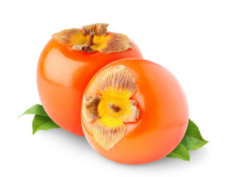 建一个500平方柿子冷库大概需要多少钱