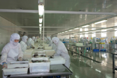 食品加工企业冷库安装造价