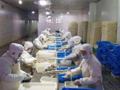 青岛安装一个水产海鲜冷冻库需要多少钱？