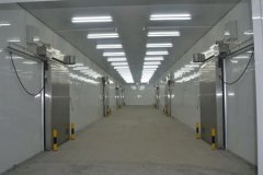 建造3000平方米左右冷库大概投资多少钱