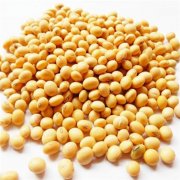 鲜黄豆冷库设计安装造价，冷库保鲜温度是多少