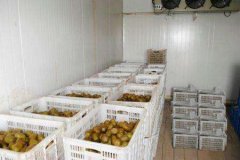 0-10℃高温冷库的建造价格是多少