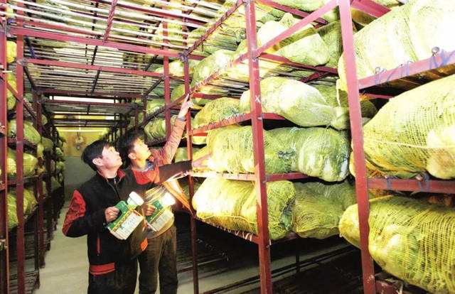 蔬菜保鲜库 蔬菜保鲜库