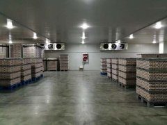 5000立方食品冷库的造价是怎么计算的