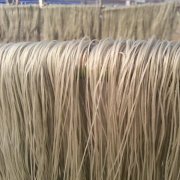 建造一个500吨粉丝冷库造价多少？