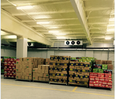 600吨蔬菜保鲜库 600吨蔬菜保鲜库