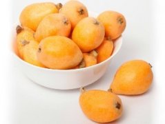 枇杷冷库贮藏技术介绍，枇杷冷库造价是多少