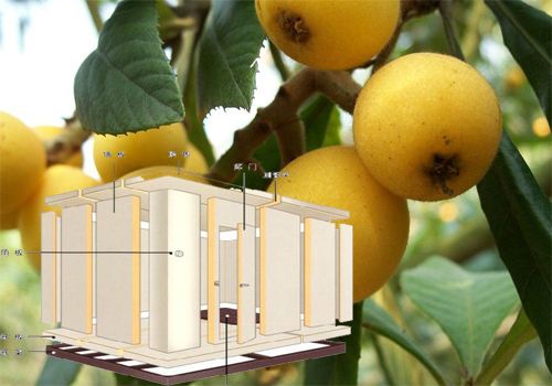 枇杷冷库 枇杷冷库