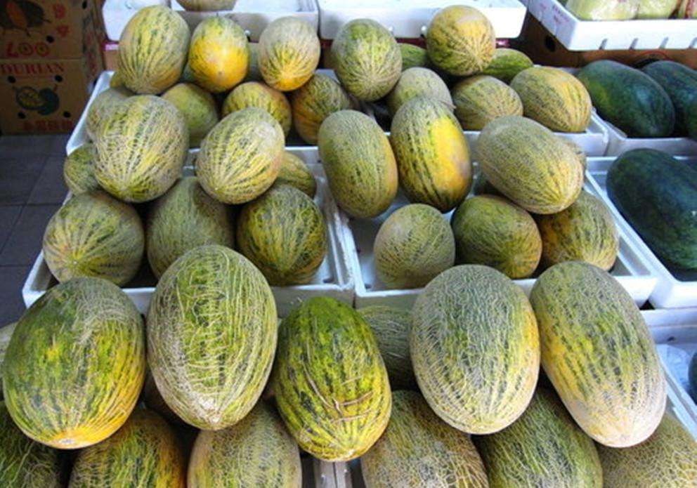 哈密瓜保鲜冷库 哈密瓜保鲜冷库