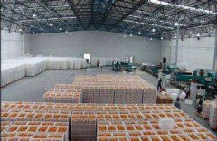 建造一个2500立方水果冷库总投资要多少钱