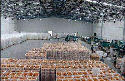 2500立方水果冷库 2500立方水果冷库