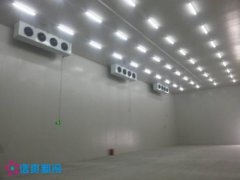 500吨生鲜冰鲜冷库建造费用是多少