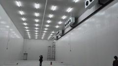 3000平米大型冷库的造价是多少