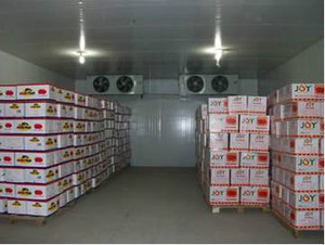 2500平米水果保鲜冷库 2500平米水果保鲜冷库