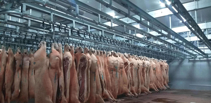 上海冻肉品类冷库 上海冻肉品类冷库