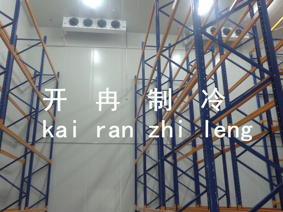 30000立方冷链物流中心冷库