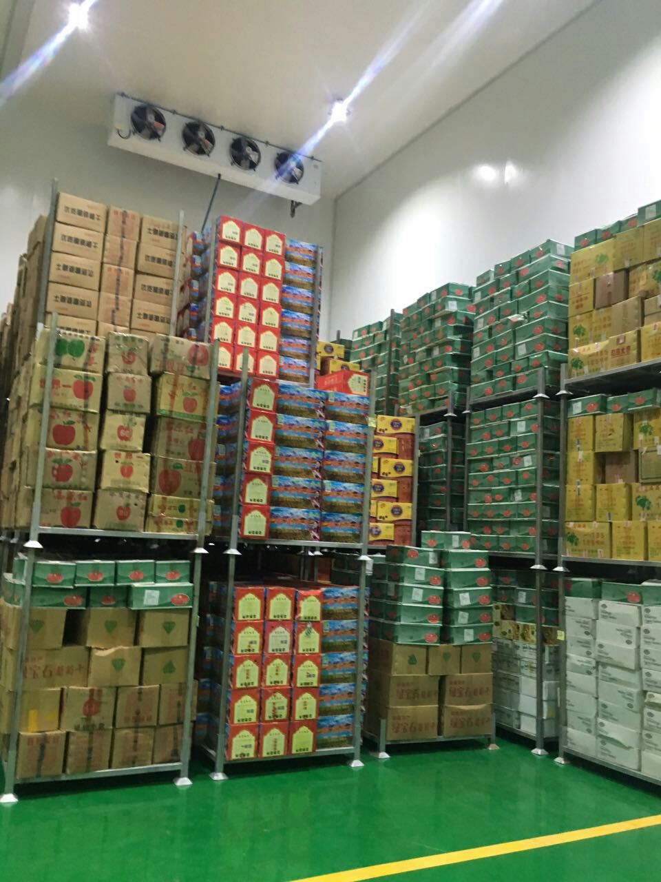 山东3000吨水果保鲜库