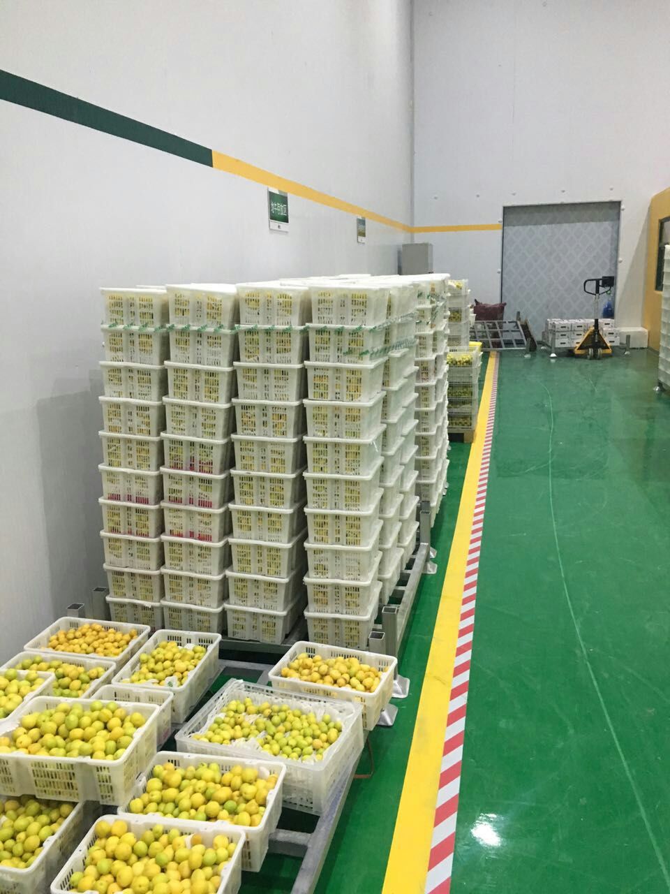 山东3000吨水果保鲜库