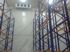 1000吨大姜冷库安装费用是多少钱？