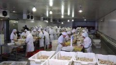 200平米海鲜低温冷库造价多少钱