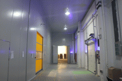 建一个10000立方米大型冷库需要花多少钱？