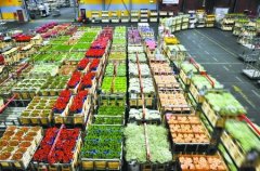 800平米鲜花保鲜冷库安装费用是多少？