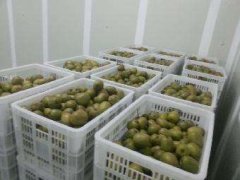 4000立方气调冷库安装要多少钱？