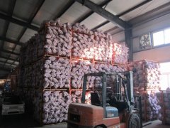 5000平米大蒜保鲜冷库安装费用是多少