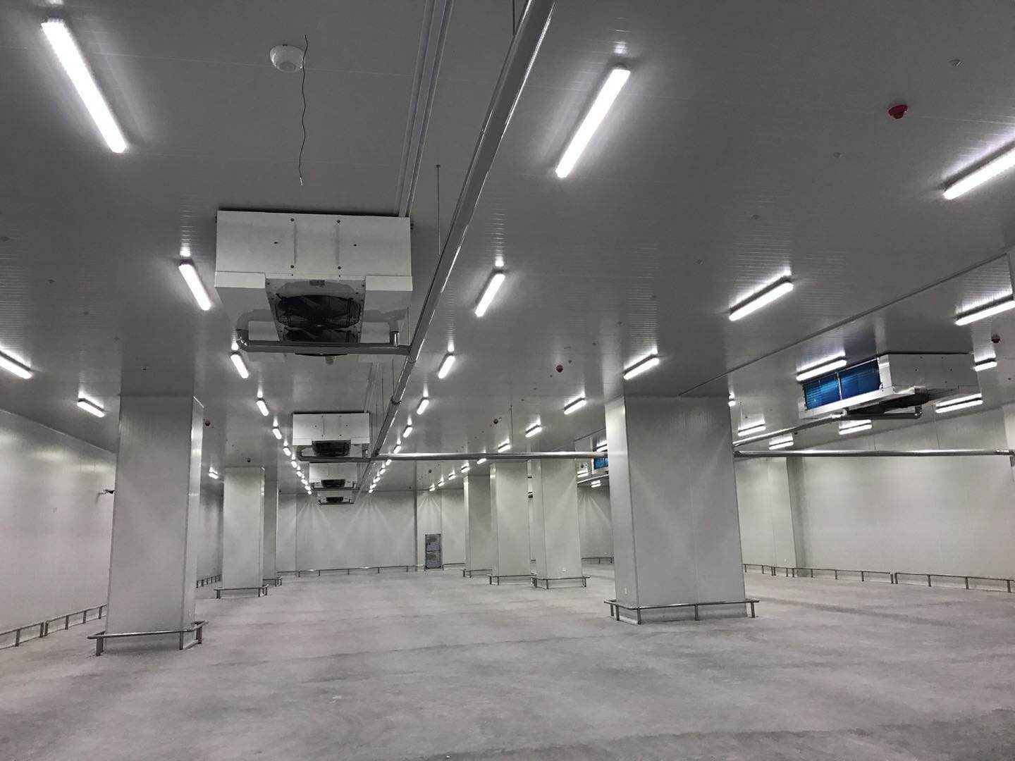 500平米低温冷库建造安装造价