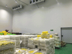 1000平方米果蔬冷库安装需要多少钱？