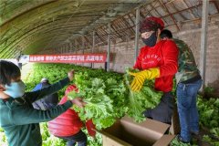 一场疫情，突出了冷库的重要性！