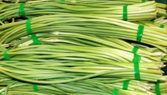 储存蒜薹（蒜苔）保鲜冷库安装工程造价是多少