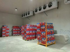 1800吨苹果冷库建造工程大约需要投资多少钱