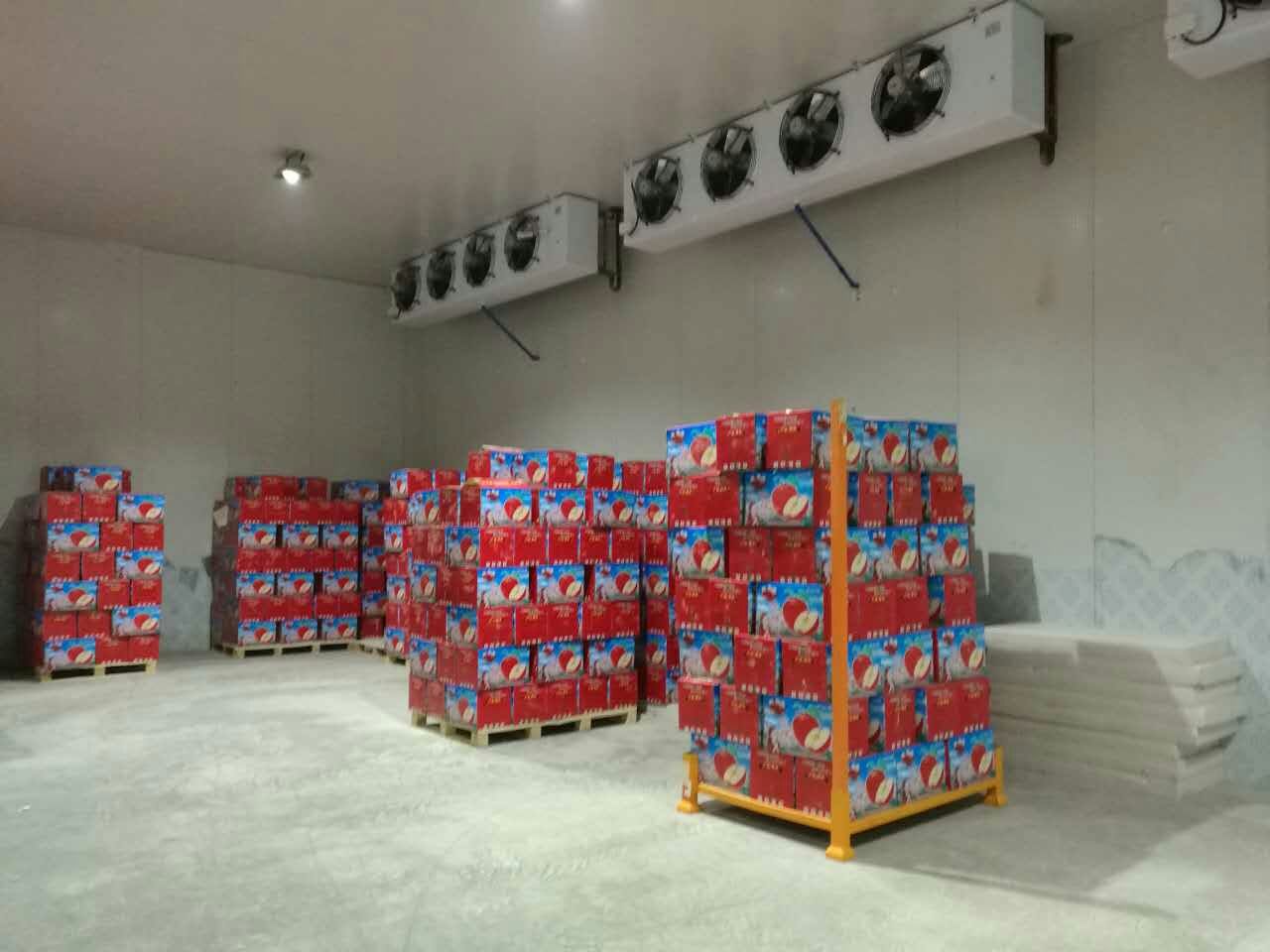 1800吨苹果冷库 1800吨苹果冷库