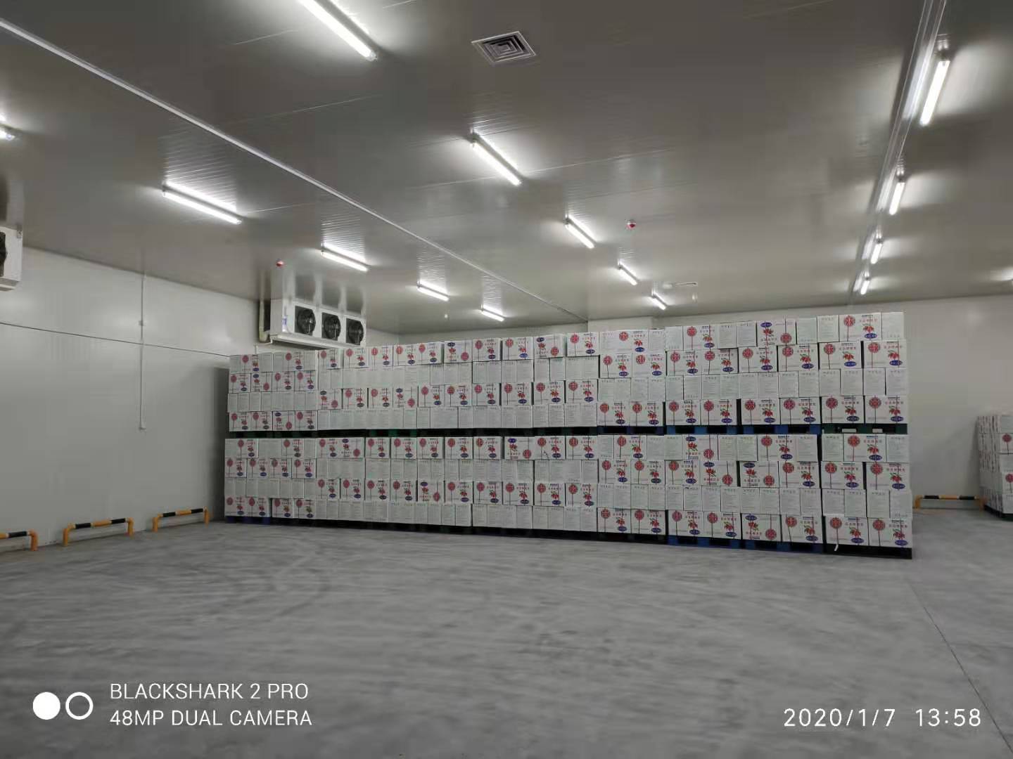 49500m3洽洽食品加工冷库 49500m3洽洽食品加工冷库