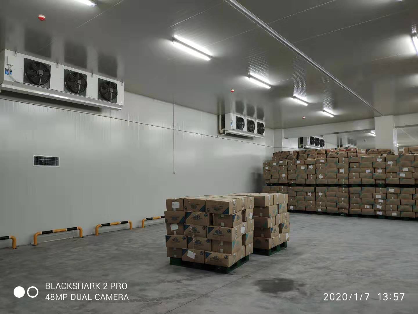 49500m3洽洽食品加工冷库 49500m3洽洽食品加工冷库