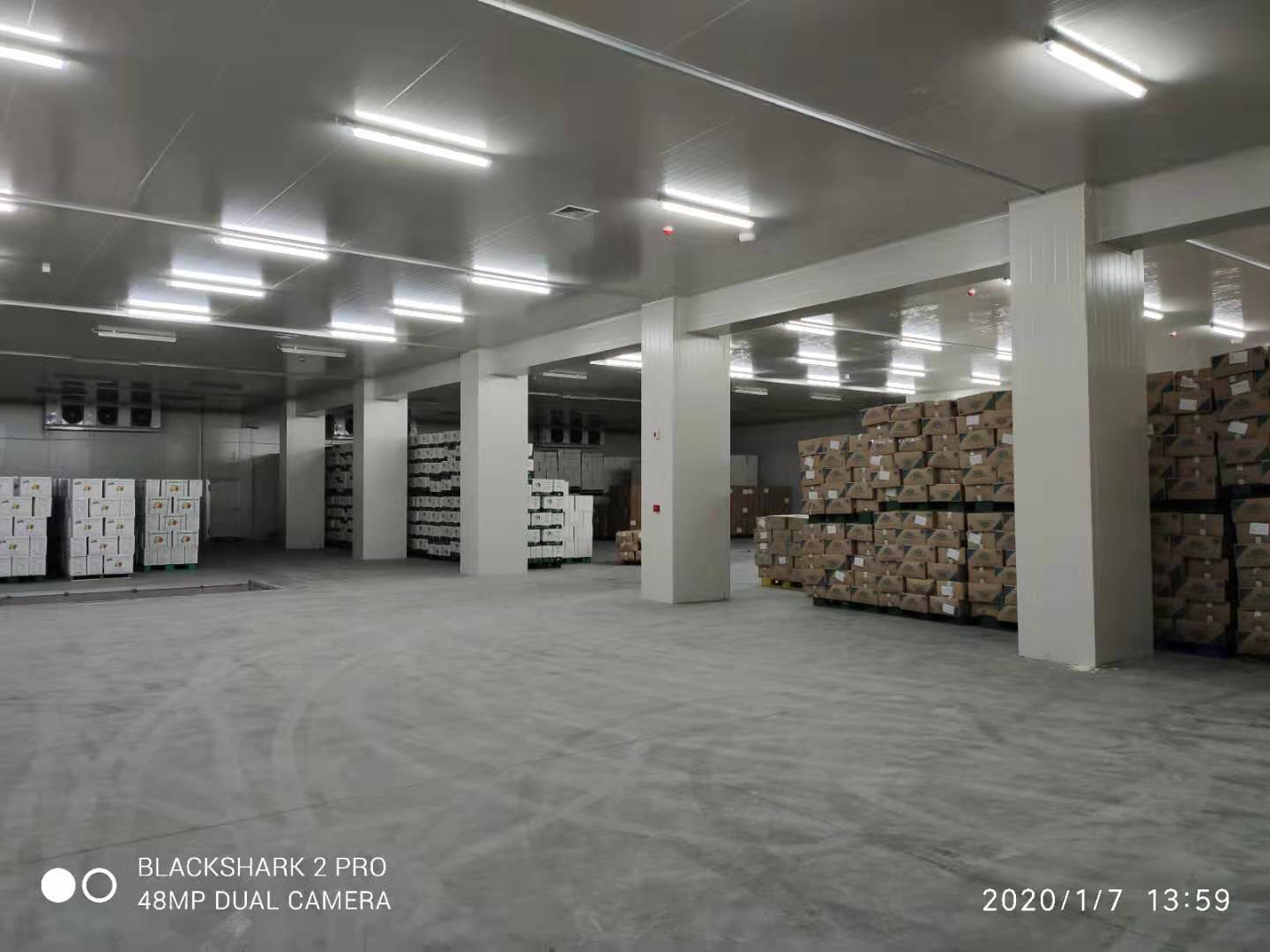 49500m3洽洽食品加工冷库 49500m3洽洽食品加工冷库